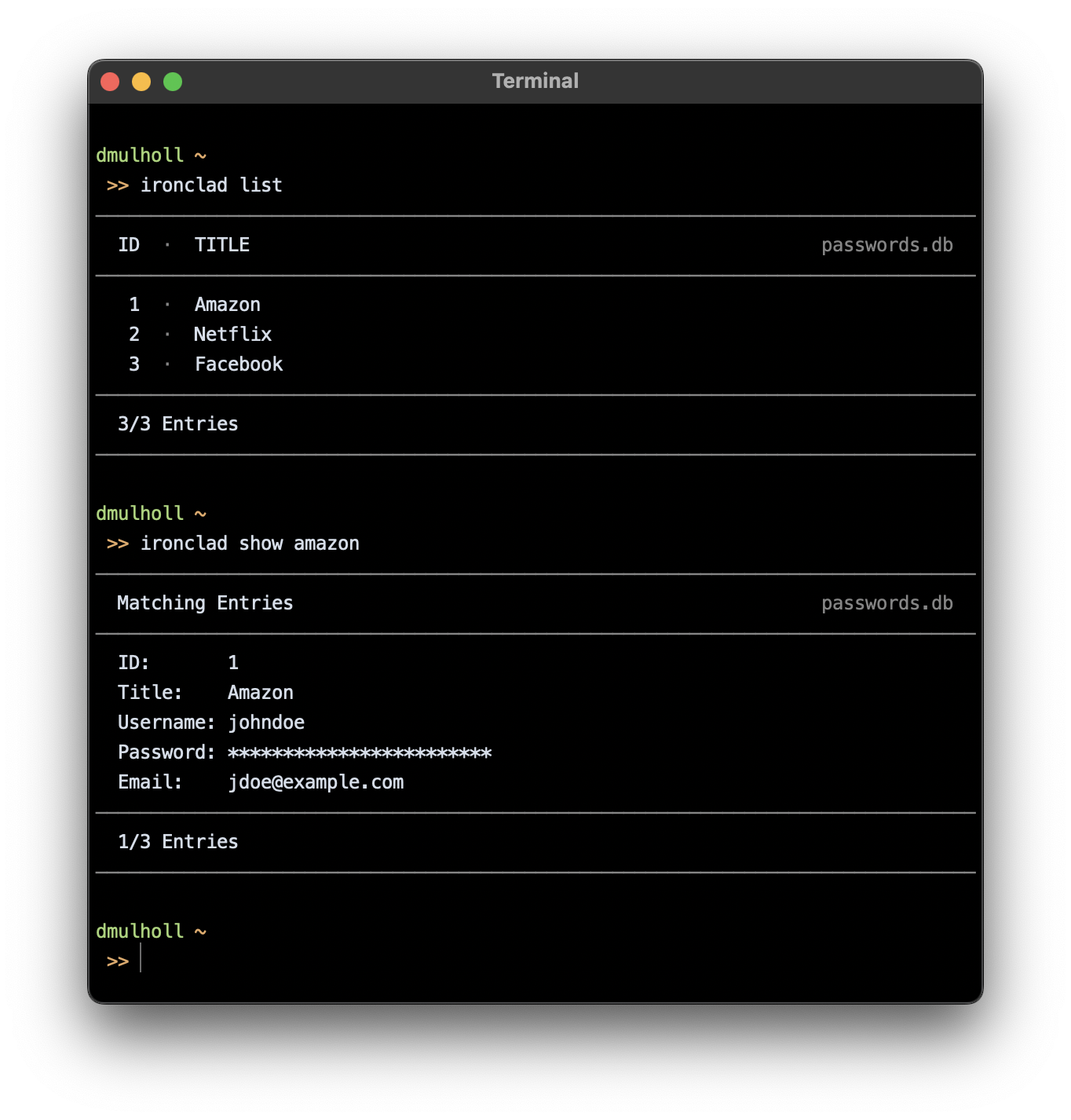 Ironclad A Command Line Password Manager